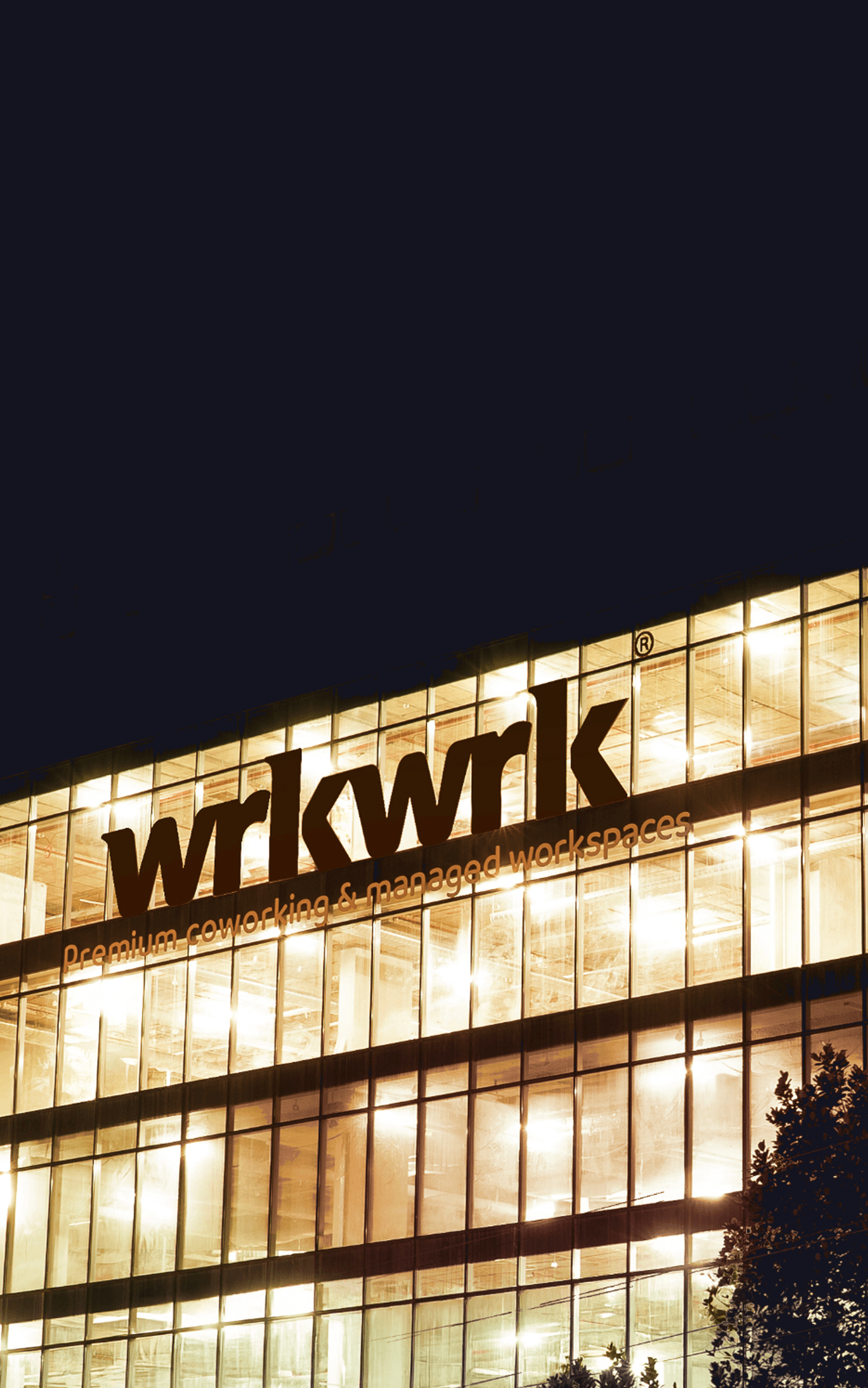 Banner 1